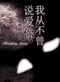 我不曾说爱你全文阅读