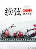 重生之续弦全集