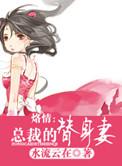 总裁的替身前妻全文免费阅读裁