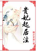 贵妃起居注女主结局