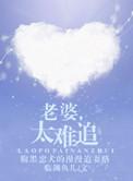 媳妇真难追