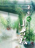 重生之小老板txt
