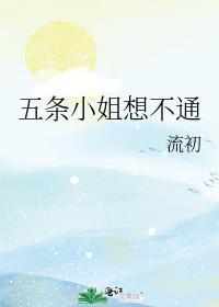 综五条小姐