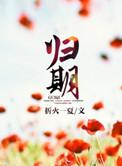 归期免费阅读