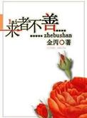 来者不善 金丙