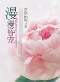 漫漫婚途全文阅读免费