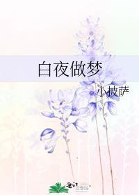 白夜做梦txt