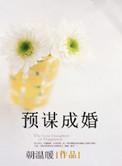 薄先生潜妻有瘾