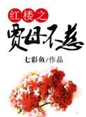 红楼之贾母重生免费读