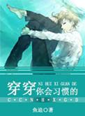 综穿nh