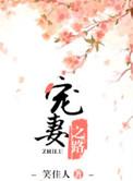 宠妻之路txt笑佳人