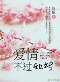 爱情不过如此英文