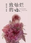 致灿烂的你番外实体书