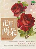 花开两朵的隐喻和含义