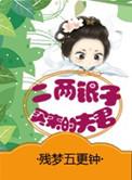 二两银子是什么意思