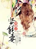 穿越贤能妻2