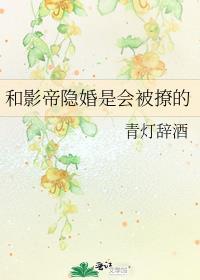 和影帝隐婚后 番外
