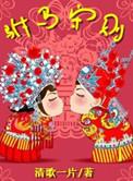驸马守则TXT