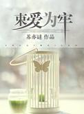 束爱为囚免费全文