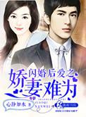 闪婚娇妻太