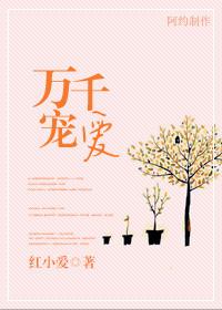 万千宠爱是男男吗