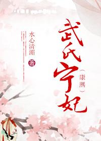 武氏宁妃全文免费阅读