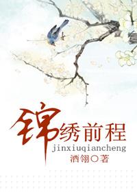 锦绣前程电视剧全集免费观看