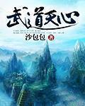 武道天心顶点