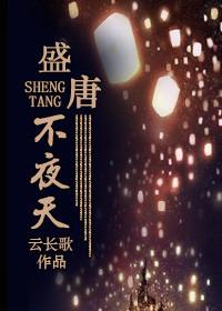 盛唐不夜天讲什么