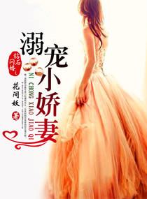 钻石闪婚之溺宠小娇妻章节目录