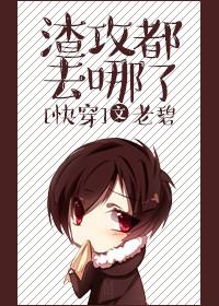 渣攻都去哪了无防盗章txt