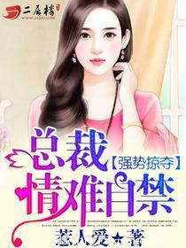 总裁情难自控