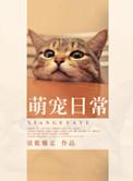 萌宠日常猫咪