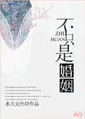 不只是婚姻by李小雾剧透