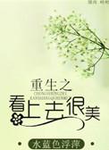 看上去很美书评