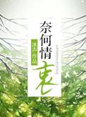 奈何情衷by沐言笔趣阁