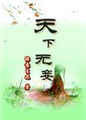 天下无妾叶南笳