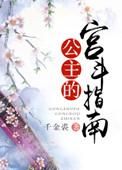 宫斗公主阶