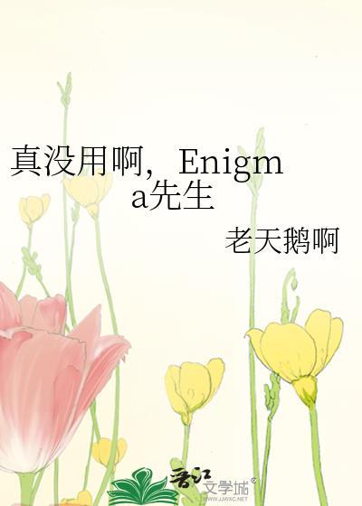 真没用啊enigma先生番外
