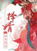 择婿李胤楚烟