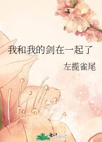 我和我的马甲里的剑客