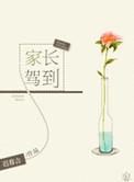 家长驾到全集