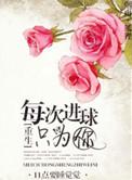 每次进球都只为你txt
