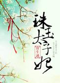 珠玉太子妃结局