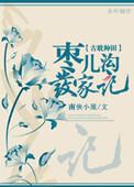 枣儿沟发家记推文
