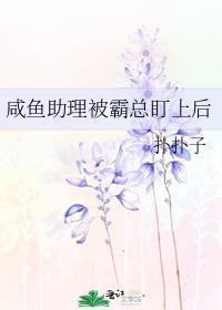 这个杀手不太冷细节解读