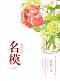 重生之名模by
