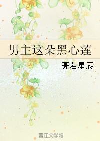 男主这朵黑心莲剧透