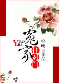 冤家住对门大结局解析