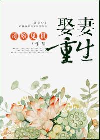 娶妻娶娇全文免费